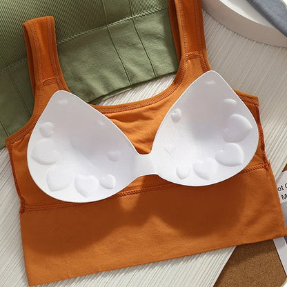 Soutien-gorge de Sport respirant Anti-transpiration, haut de Fitness pour femmes, sans couture, de Yoga, résistant aux chocs, haut court, Push-Up, haut d'entraînement de gymnastique